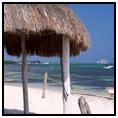 Carnival Carnival Elation on 02/12/09 &middot; $219